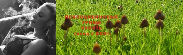 каннабис Абаза