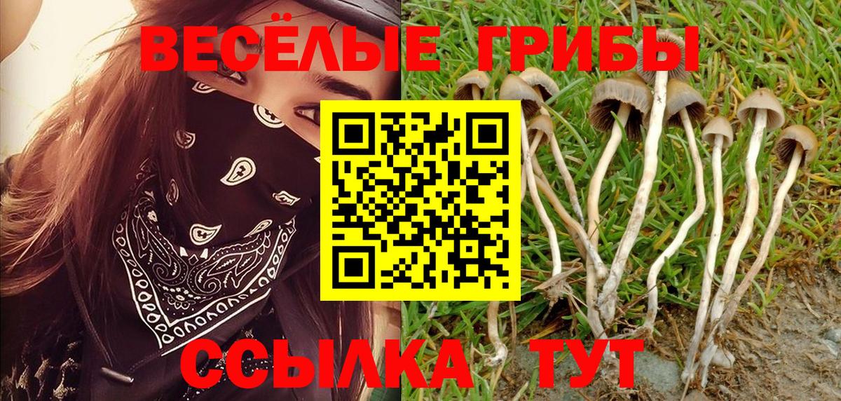 Галлюциногенные грибы Cubensis  что такое   Тольятти  Вход с VPN 